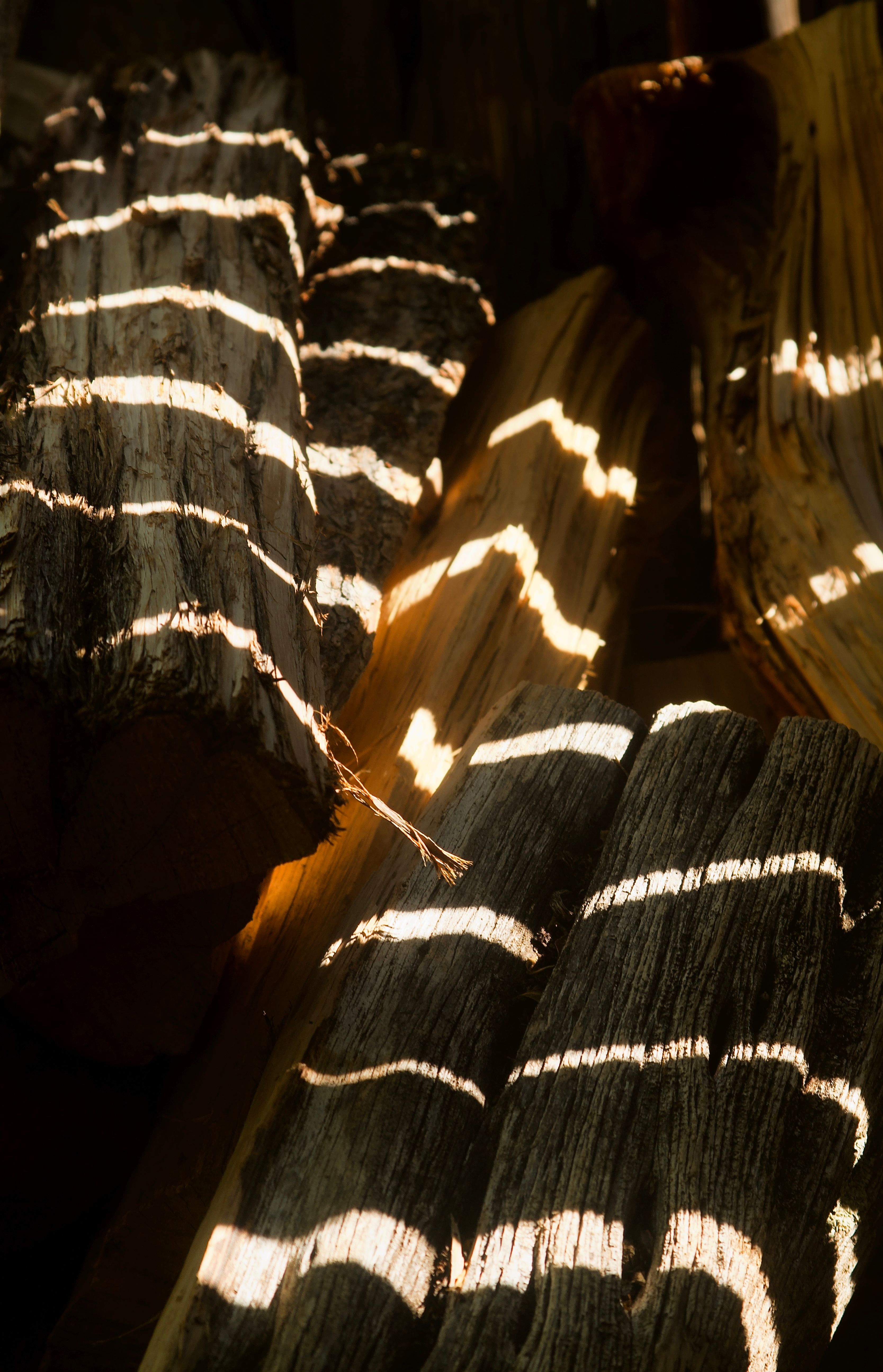 Sunlight creating striped patterns on wooden logs, highlighting natural textures and shadows.
