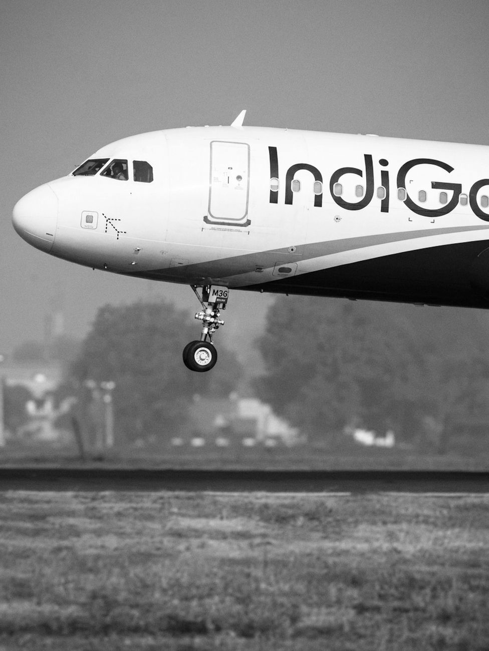 Turbulence Terror: Inside the Air India Plunge That Injured 17