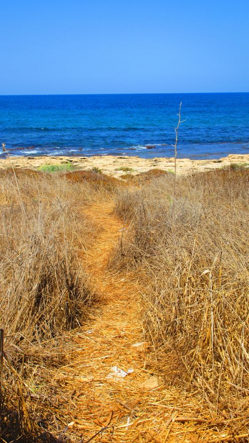 Free A serene path through dry grass leads to a beautiful sandy beach by the blue ocean. Stock Photo