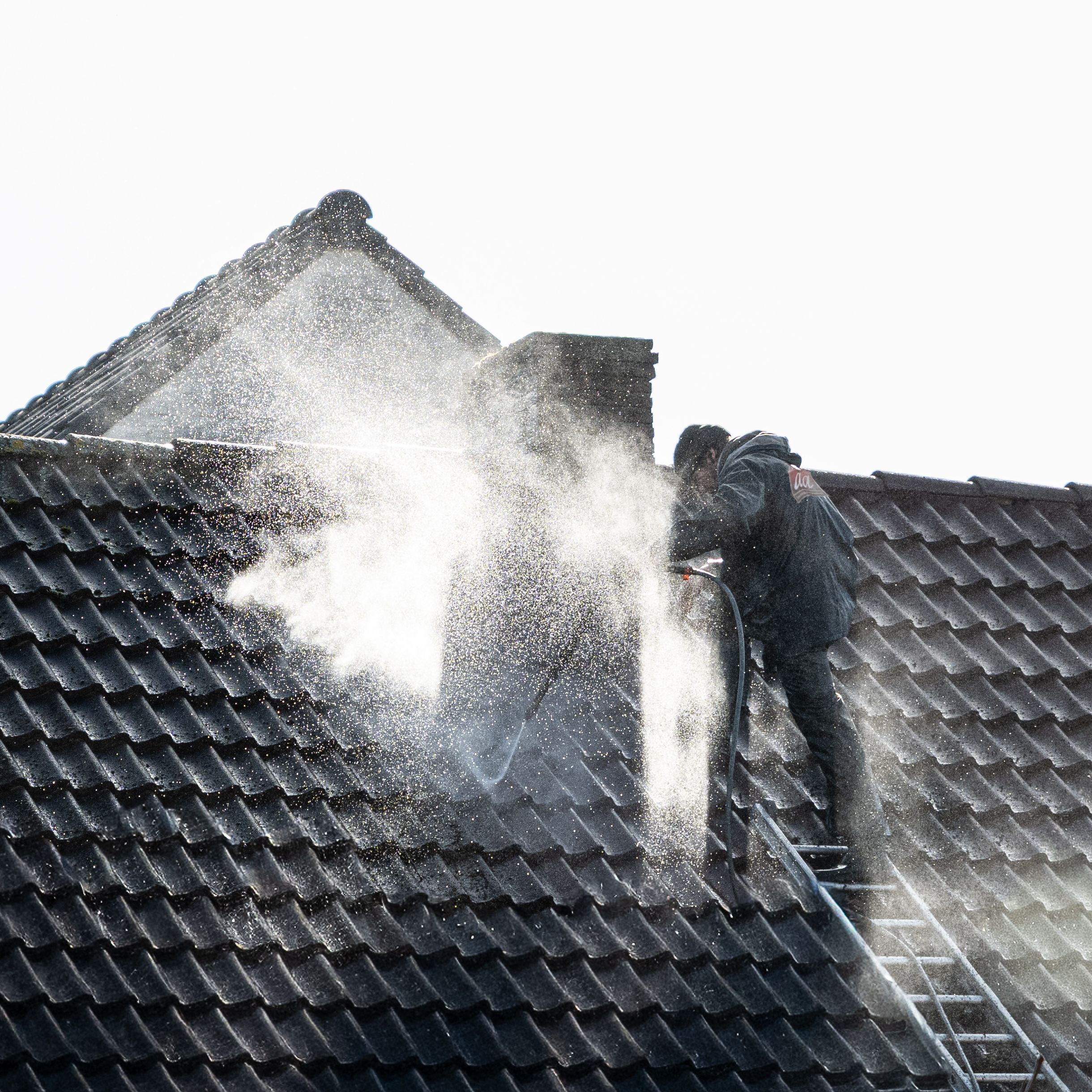 Residential Roof Cleaning in Van Nuys, CA