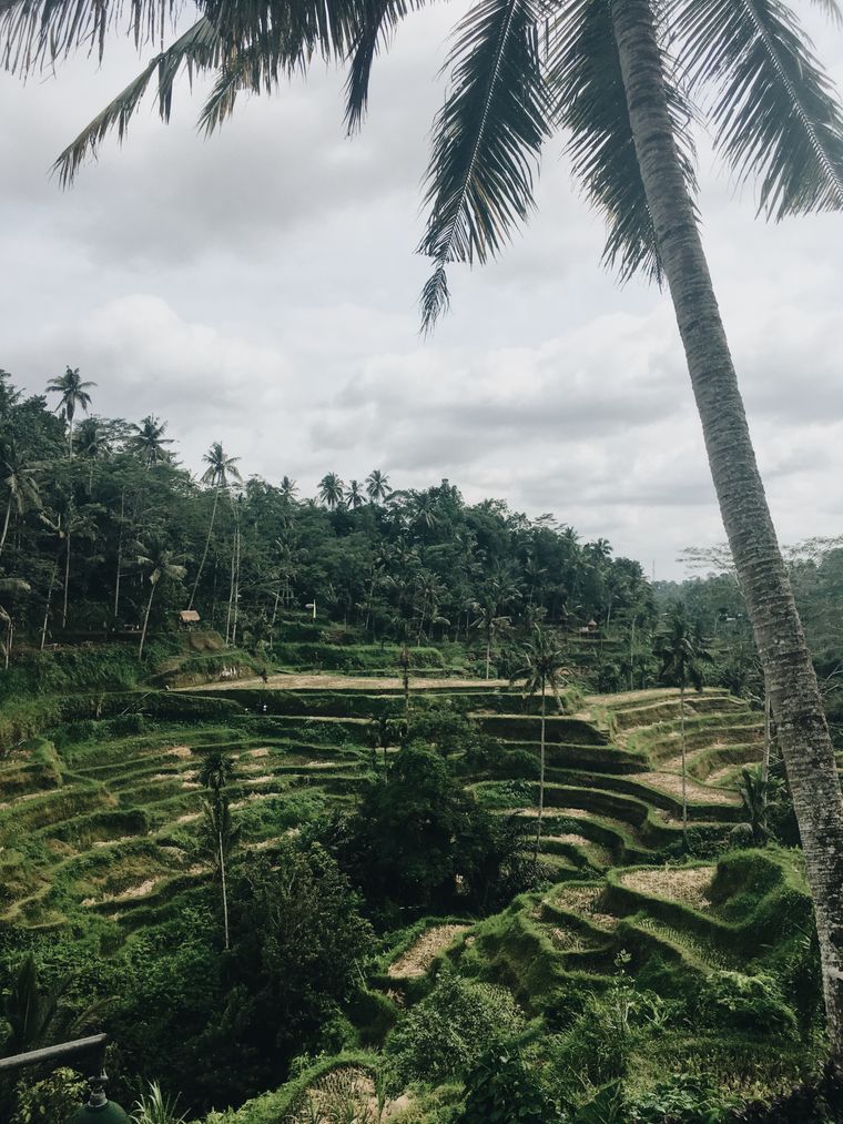 Bali