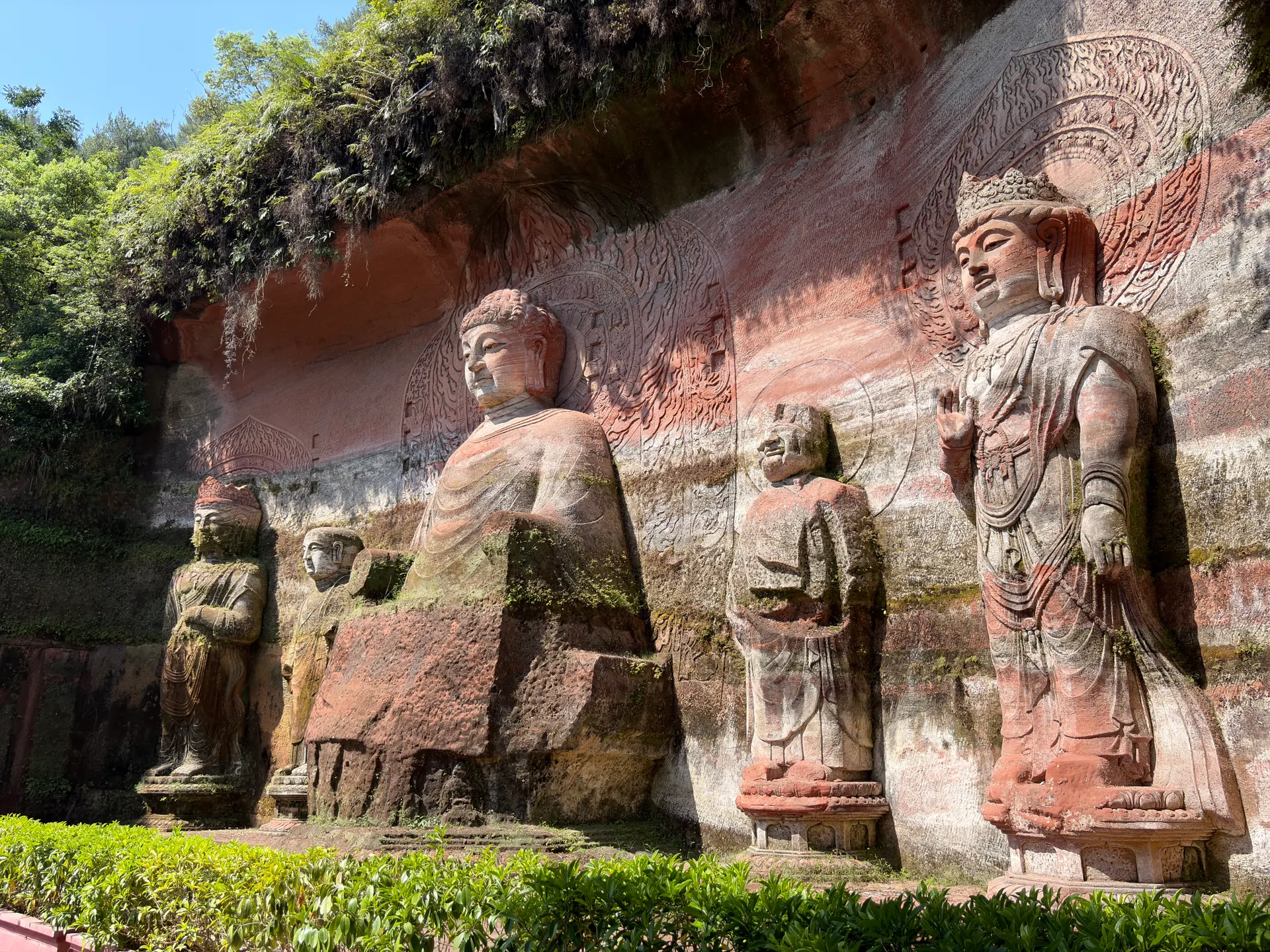 Chengdu Pandas and Leshan Giant Buddha, One-Day Private Tour