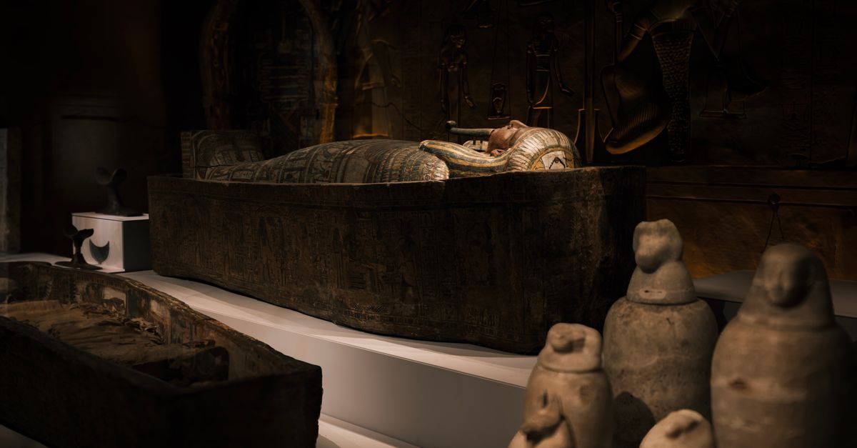 Cómo la arqueología cambió la comprensión de la historia humana Cómo la arqueología cambió la comprensión de la historia humana