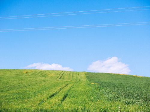 Free A lush green field under a vibrant blue sky in Beja, Tunisia, showcasing serene rural landscape. Stock Photo
