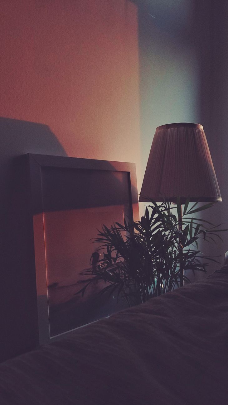 Warm evening light casts shadows on a lamp and plant in a cozy indoor setting.