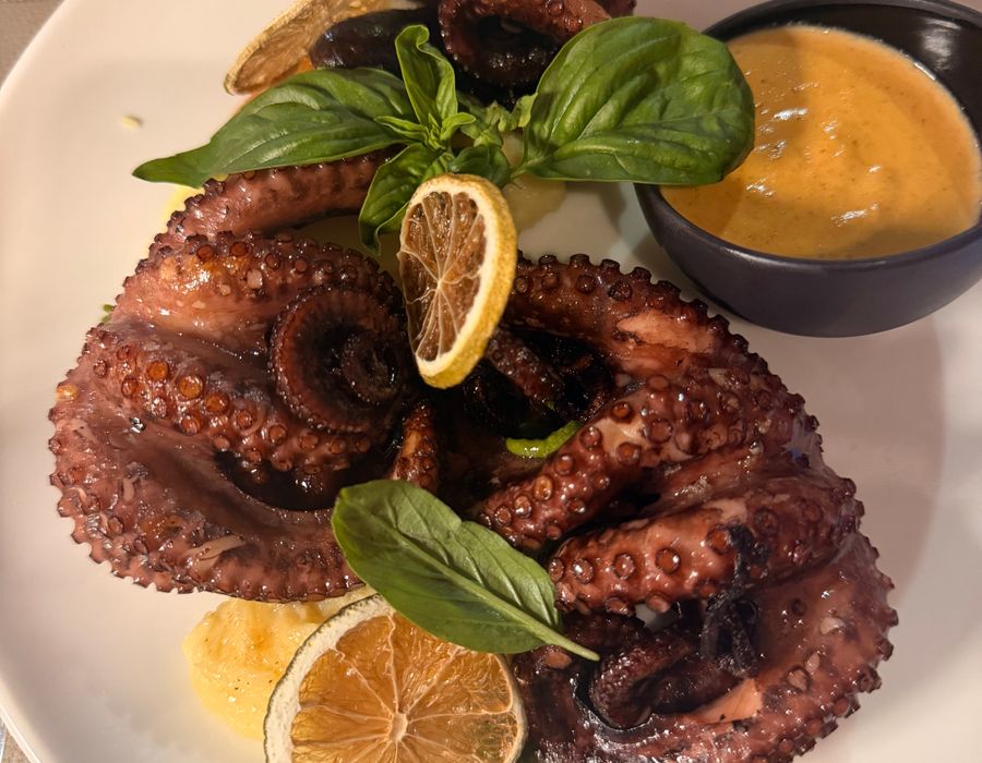 Symbolfoto: angerichtetes Restaurantgericht
