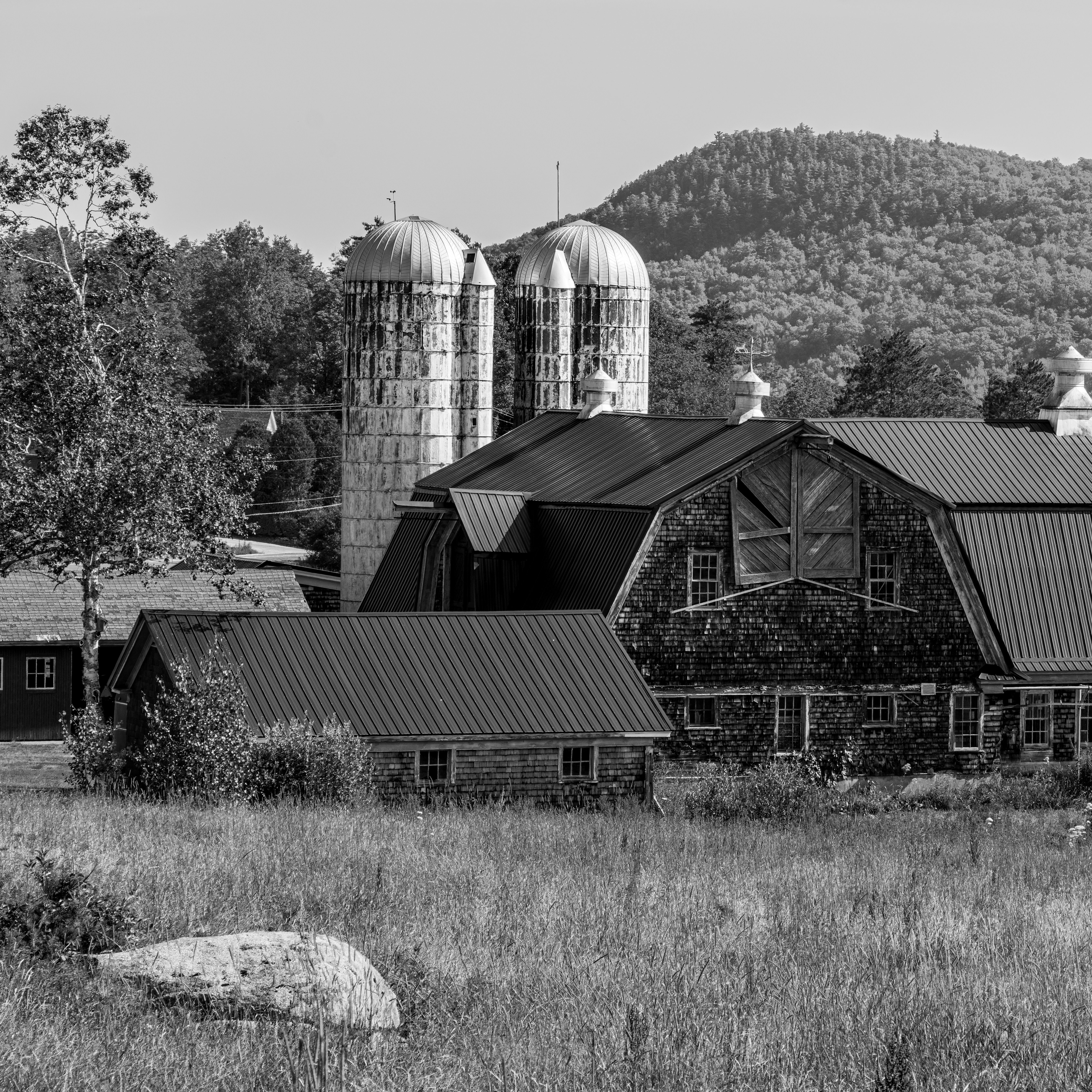 Buyer looking at a farm property