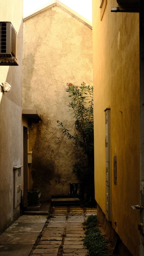 Free Sunlit narrow alleyway with textured walls and greenery in Bosnia-Herzegovina. Stock Photo