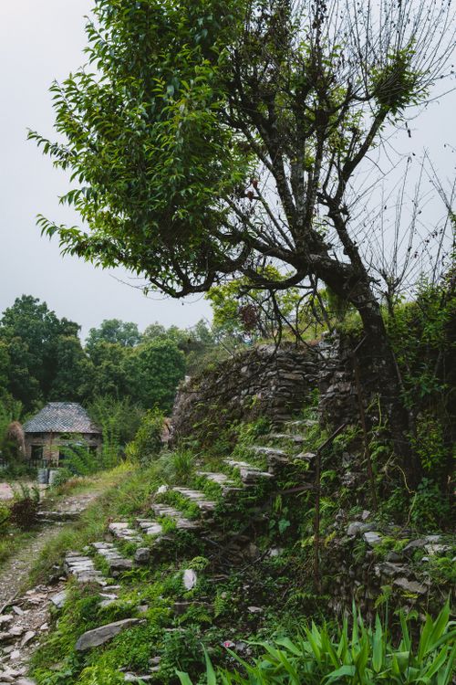 Free Explore a serene stone pathway surrounded by greenery in a tranquil forest setting. Stock Photo