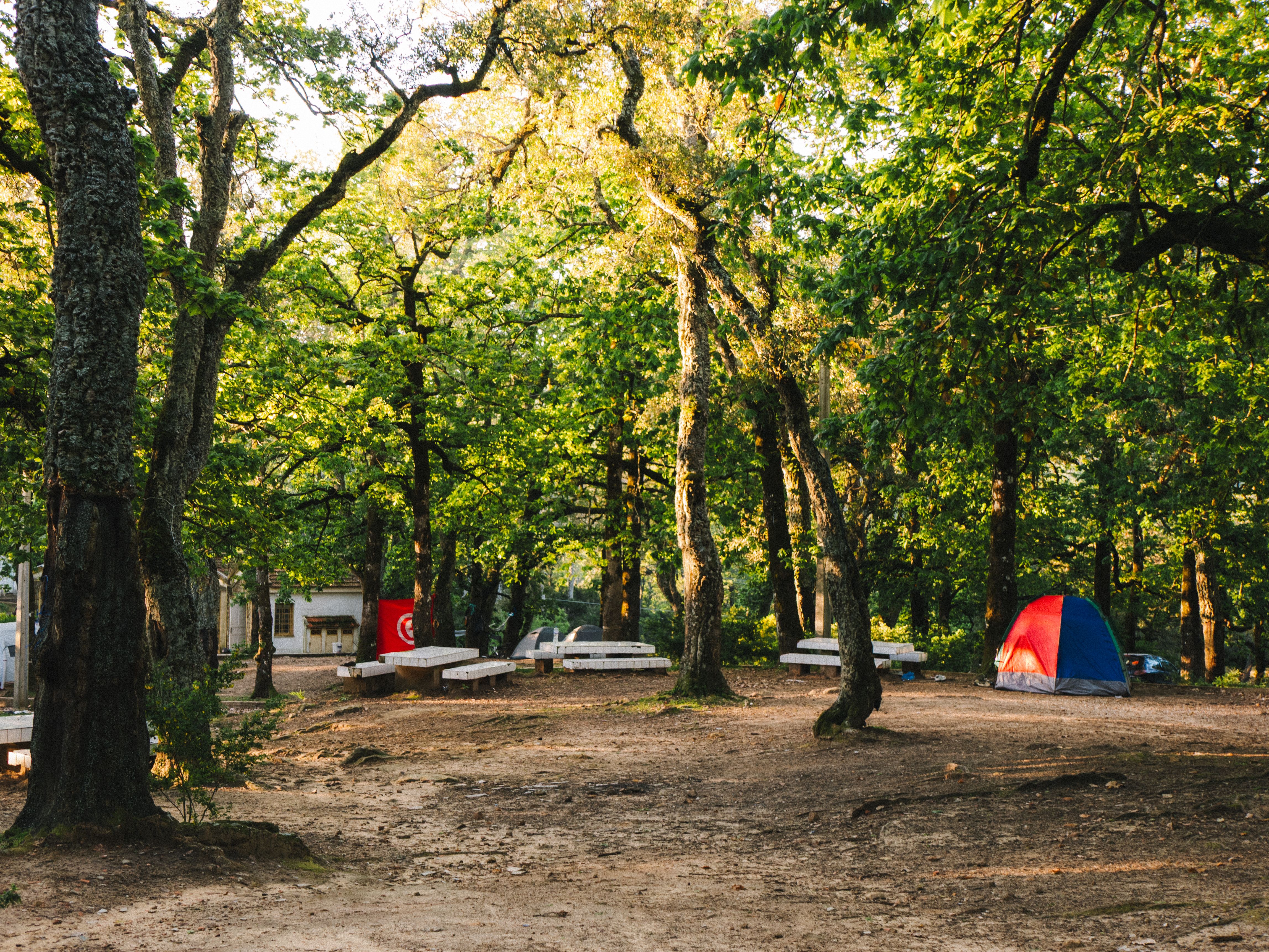 Campamento bajo las estrellas