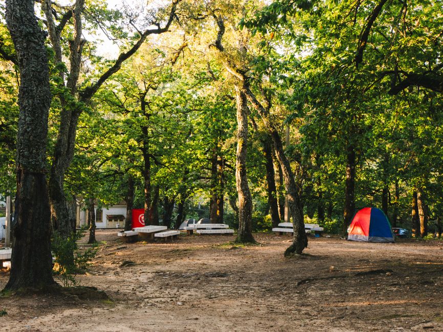 Fotomural Camping tranquilo en Ayn Darahim, rodeado de frondosos árboles y con una colorida tienda de campaña.