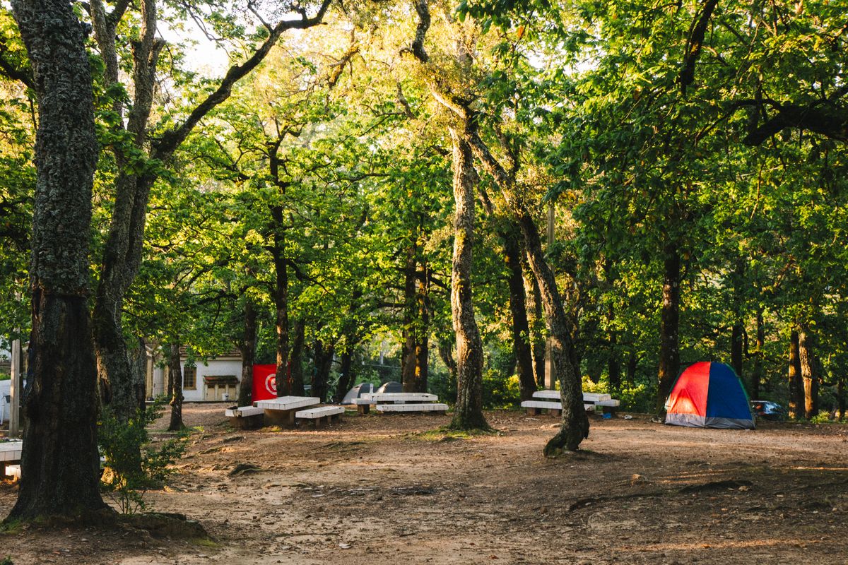 Campamento bajo las estrellas