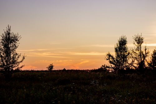 Free A peaceful sunset scene capturing the silhouette of trees against a colorful sky. Stock Photo