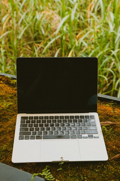 Free A laptop sits on a bed of moss outdoors, surrounded by lush green plants. Stock Photo