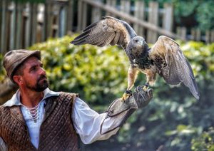 A falconer with a hawk in open country — photo by Dominique BOULAY on Pexels