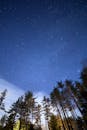 森林上空，高耸的树木间，星空壮丽