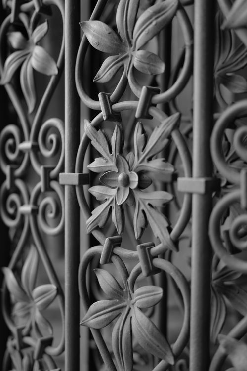 Free Close-up of intricate iron fence design in Vienna, showcasing floral patterns and craftsmanship. Stock Photo