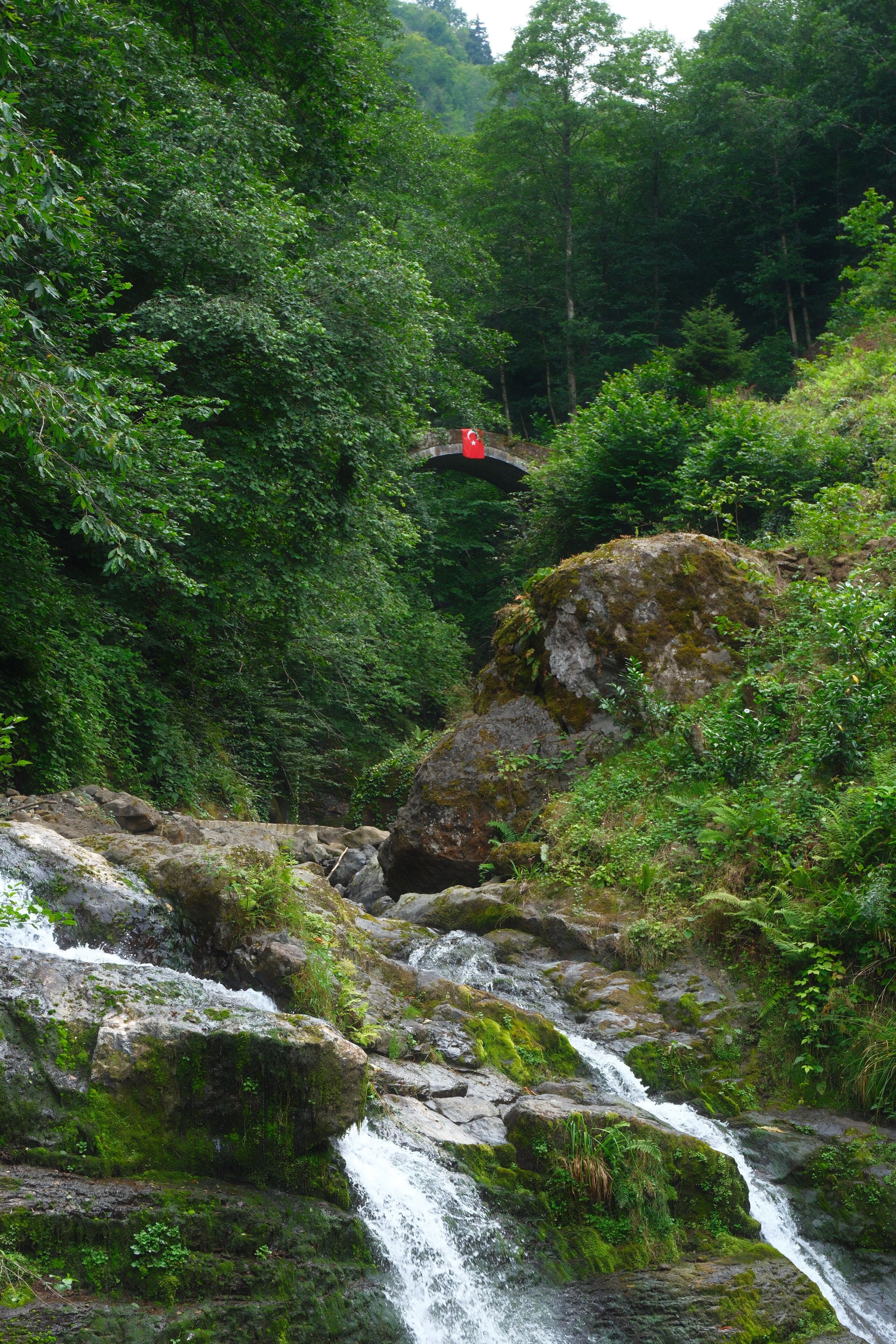 Lush forest landscape with cascading waterfall and ancient stone bridge in summer.