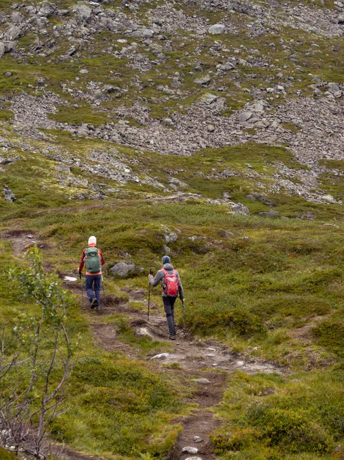 Free Two hikers explore rocky trails and lush green moss in Norway's scenic outdoors. Stock Photo