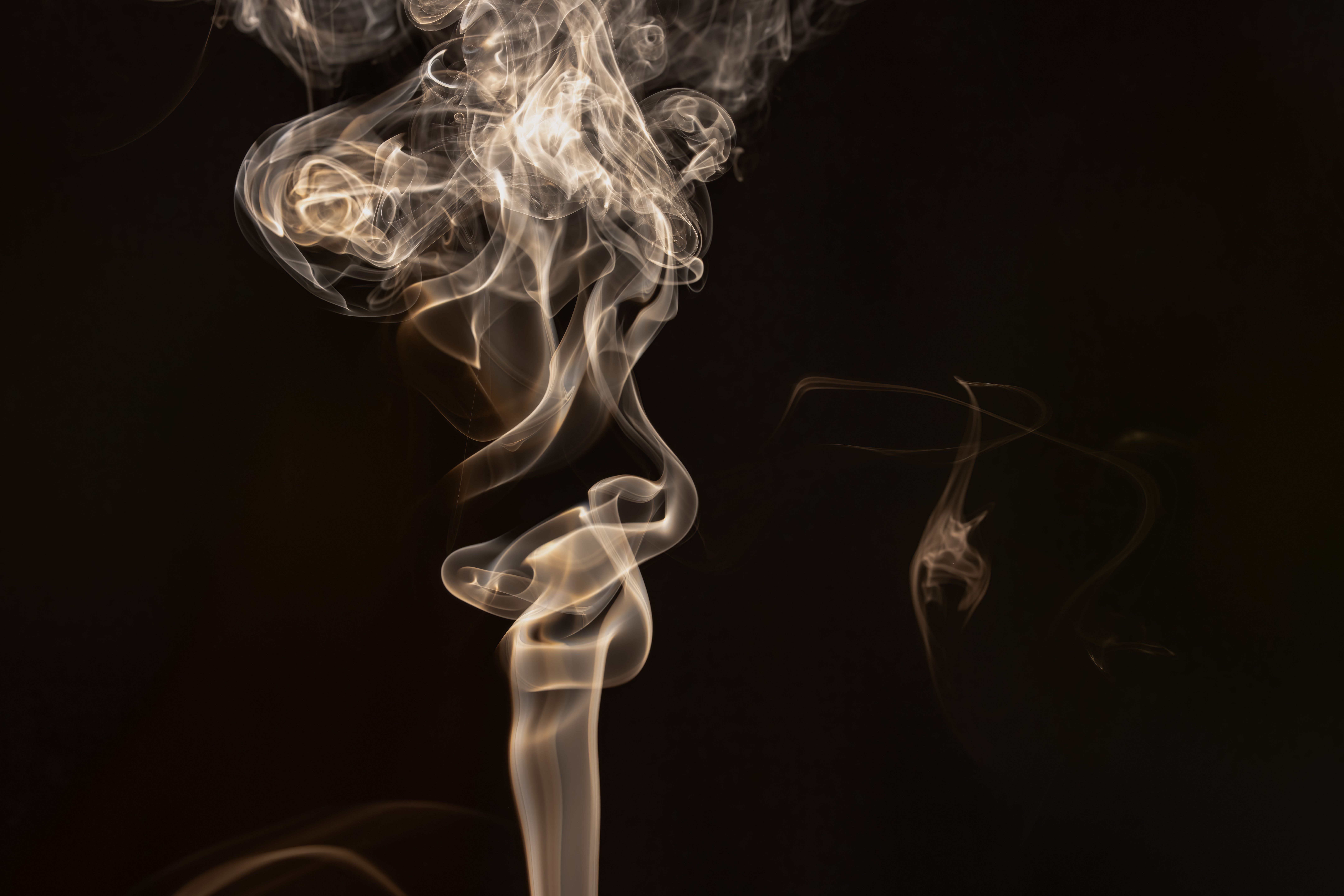 Fotomural Imagen abstracta de remolinos de humo capturados con maestría sobre un fondo oscuro, que muestra intrincados patrones.
