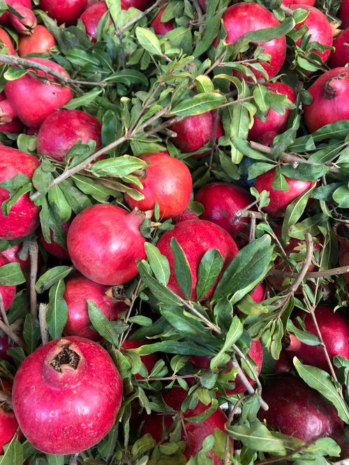 Free Vibrant fresh pomegranates surrounded by lush green leaves, showcasing natural abundance. Stock Photo