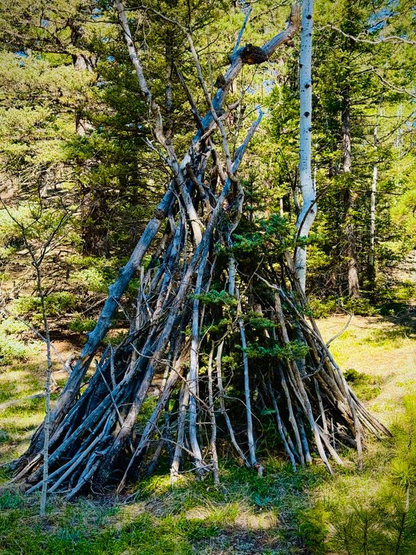 Rustic debris shelter in the forest
