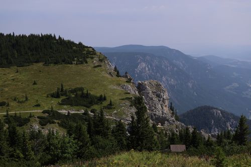 Free Panoramic view of mountainous landscape with cliffs and dense pine trees. Stock Photo
