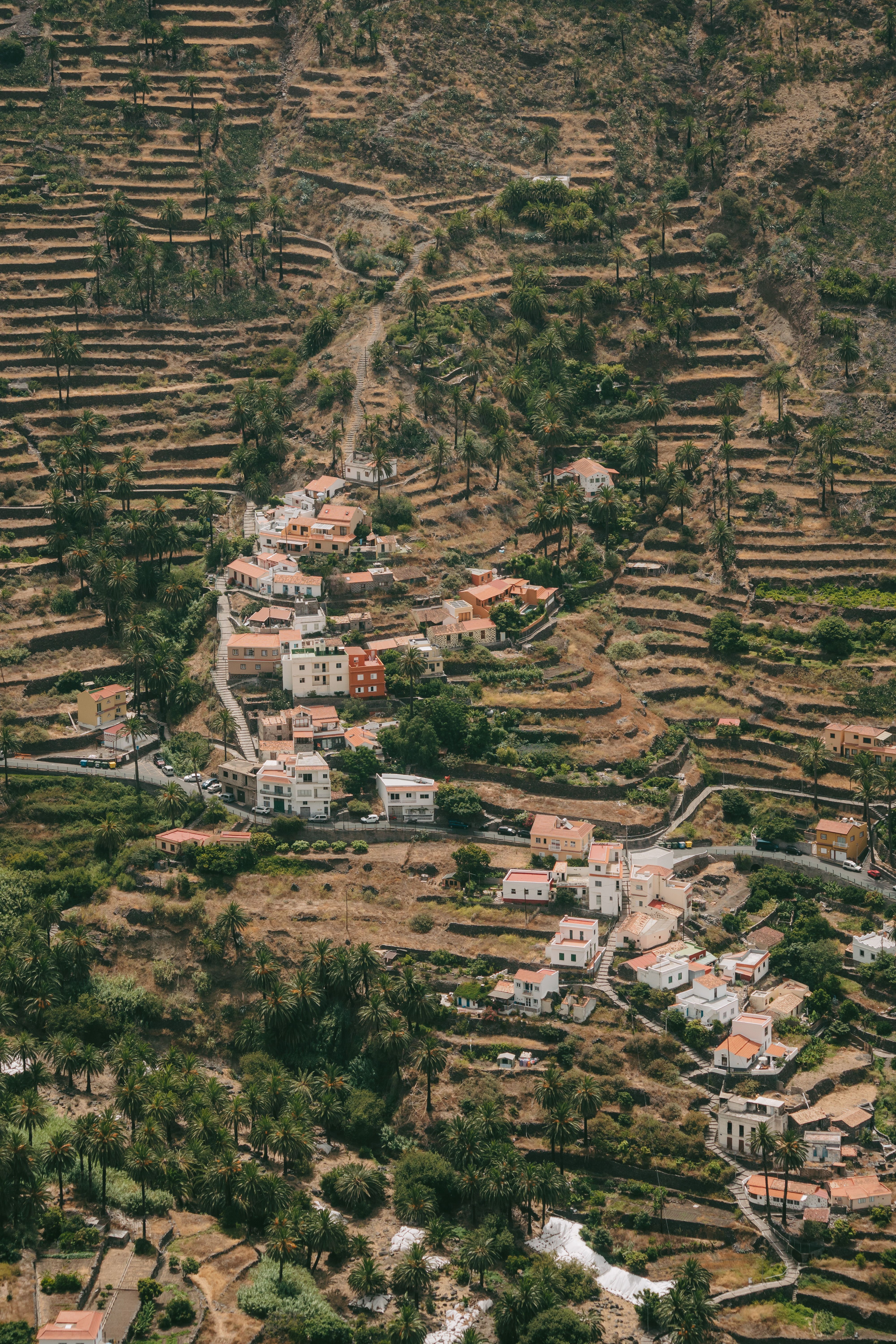 Stunning aerial view of terraced hillside and traditional village in Valle Gran Rey, Canary Islands.