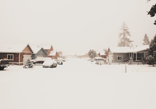 Brown and White Houses on Snow Covered Ground