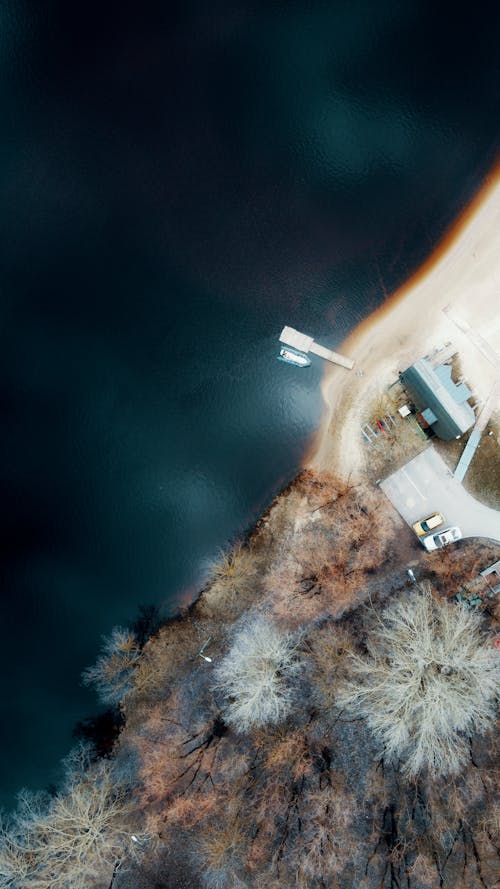 Breathtaking drone view of autumn forest with leafless tress located in front of calm sea with blue water