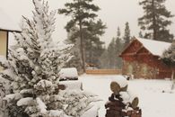 加利福尼亚州熊湖，白雪皑皑的树林间，一座舒适的小屋捕捉到了冬天的宁静之美
