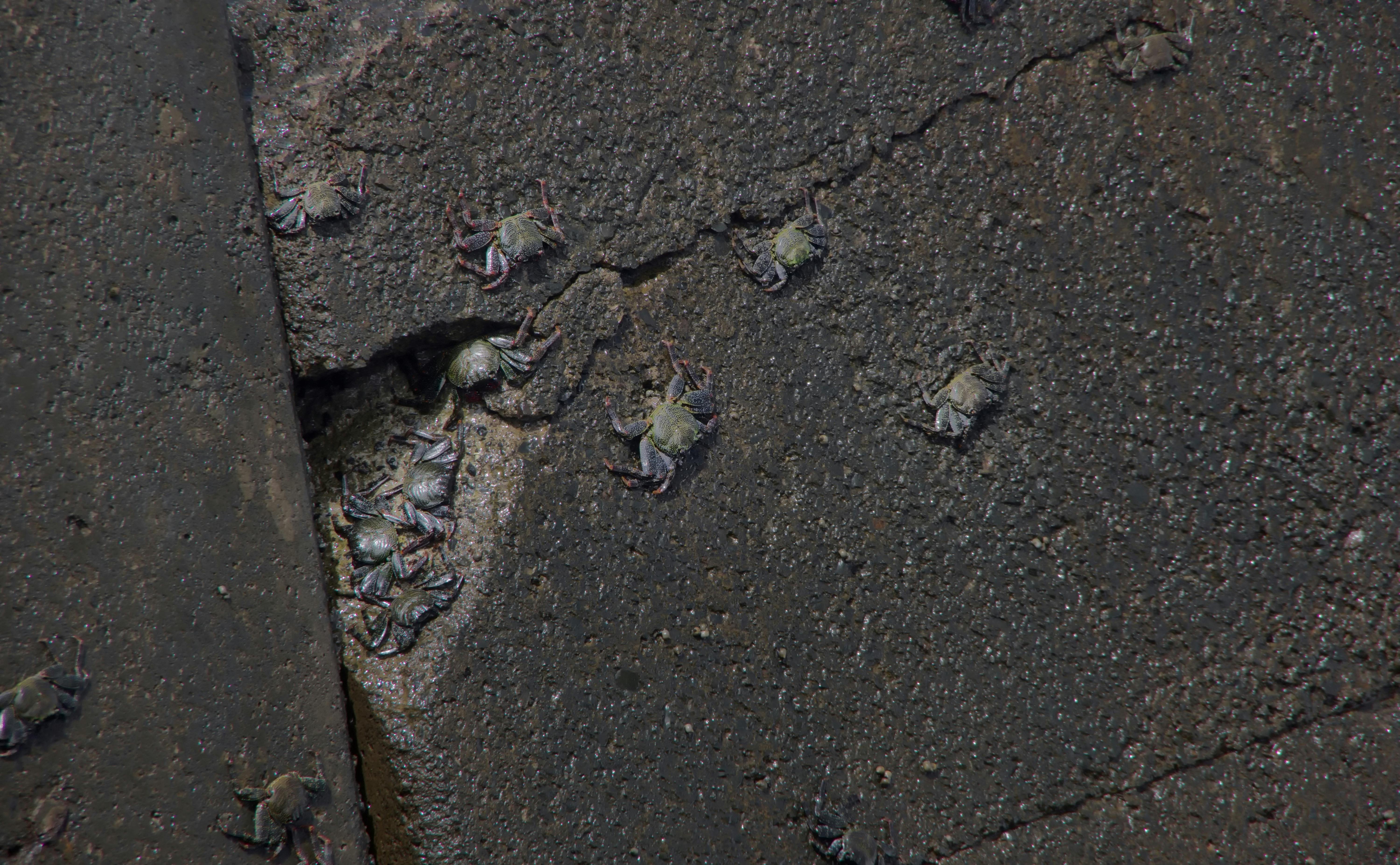 Stylized cosmic space scene with planets and nebula representing Marvel cosmic storytelling