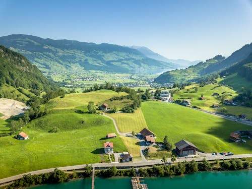 Green Grass Field Near the Lake