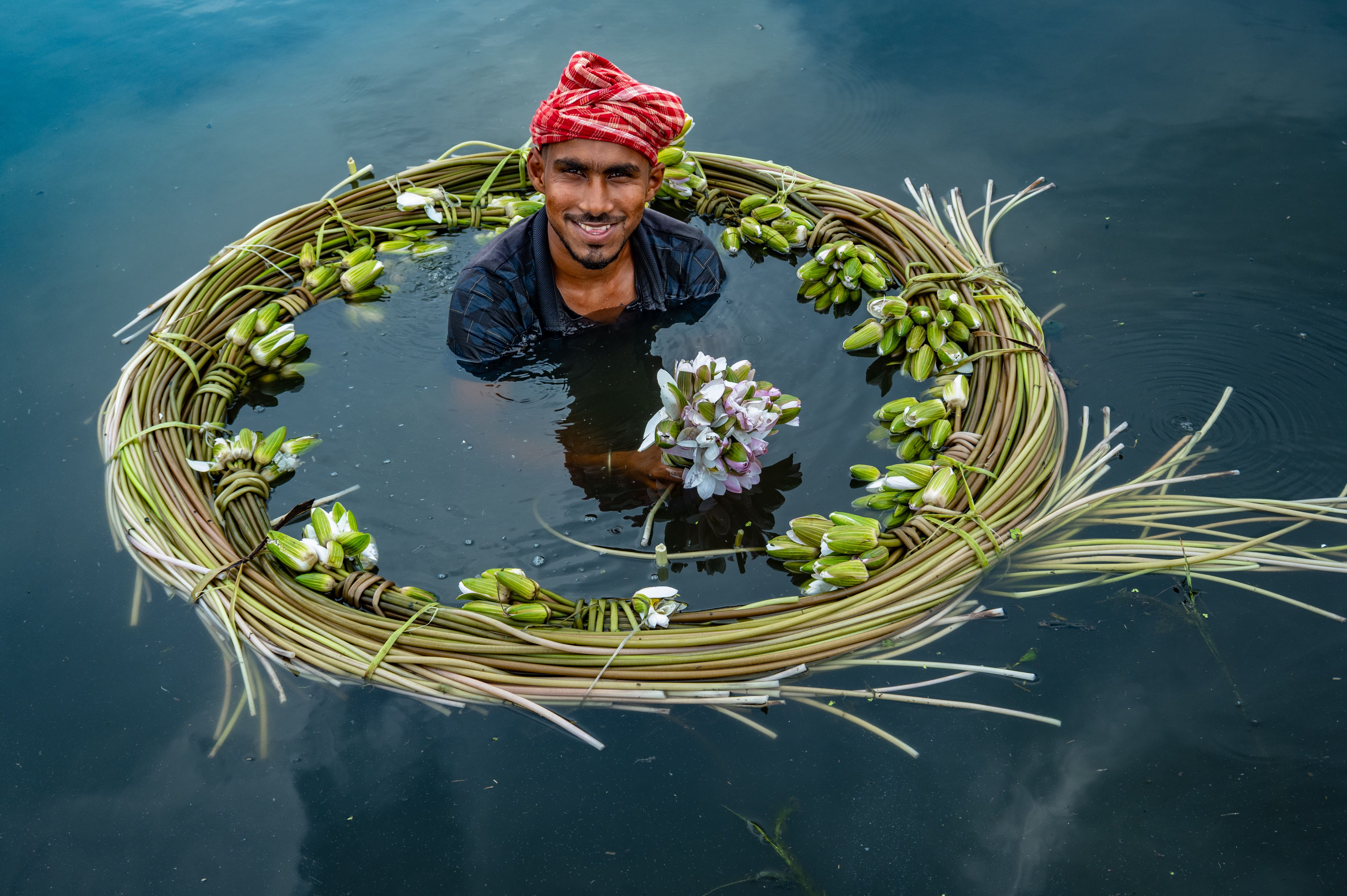 A man in traditional attire gathers water lilies in a serene waterway in West Bengal, India.