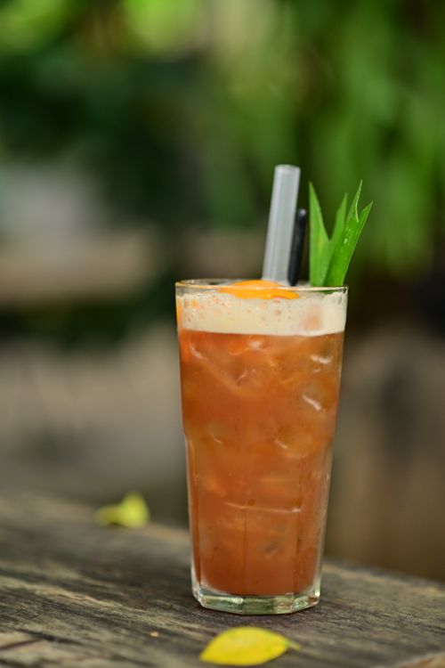 Free Chilled tropical iced cocktail garnished with mint, perfect for refreshing summer vibes. Stock Photo