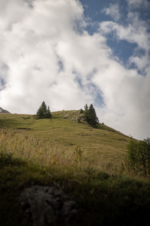 Free Idyllic hill landscape with pine trees under a blue sky and fluffy clouds. Perfect for nature lovers. Stock Photo
