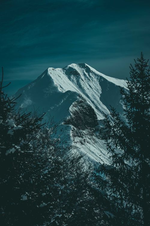 Free Snow-covered mountain peaks surrounded by pine trees in Lombardy, Italy. Stock Photo