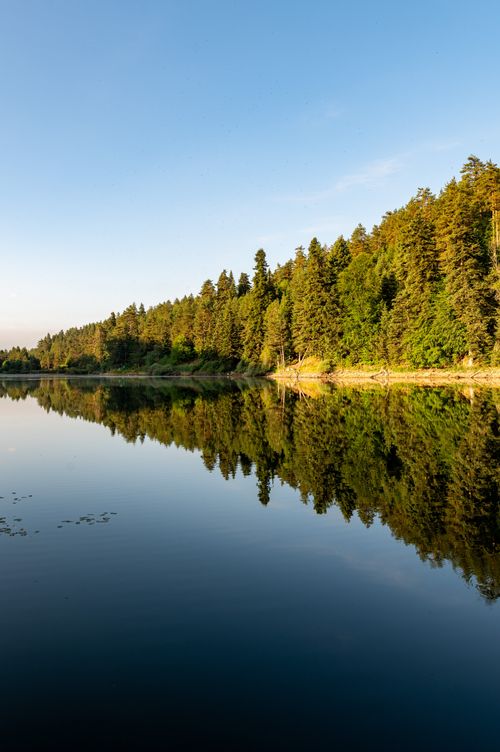 Free Calm lake reflecting lush green forest under clear blue sky in Bilecik, Türkiye. Stock Photo