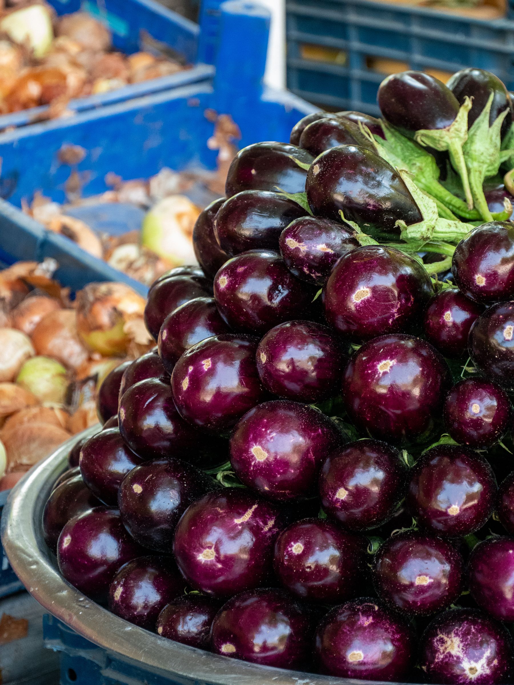 Eggplant — Mula Export produce gallery