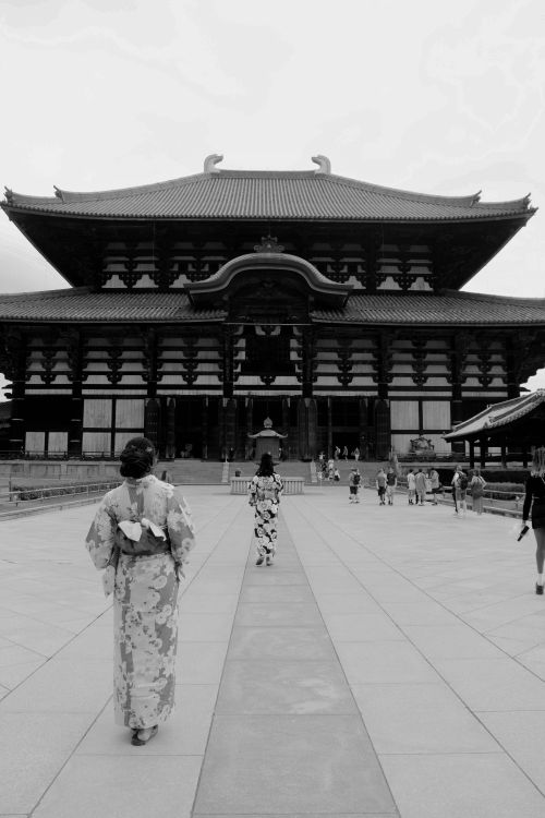 Free People in kimonos walking towards Todai-ji Temple, Nara, Japan, showcasing traditional architecture. Stock Photo