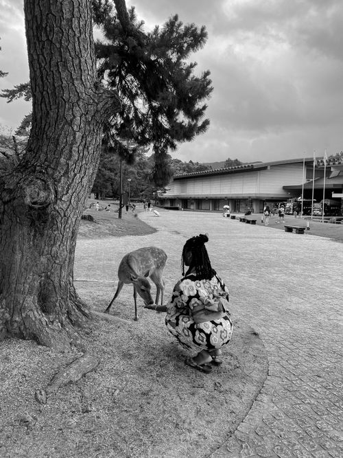 Free A person interacts with a deer at Nara Park in Japan, showcasing nature and wildlife harmony. Stock Photo