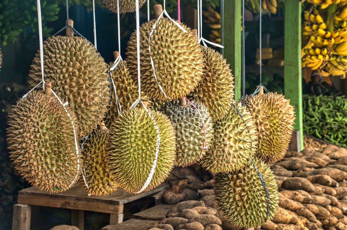 Green and Brown Round Fruit unusual food