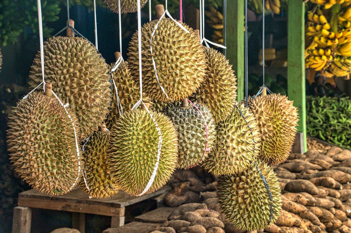 Kandungan Buah Durian dan Manfaatnya