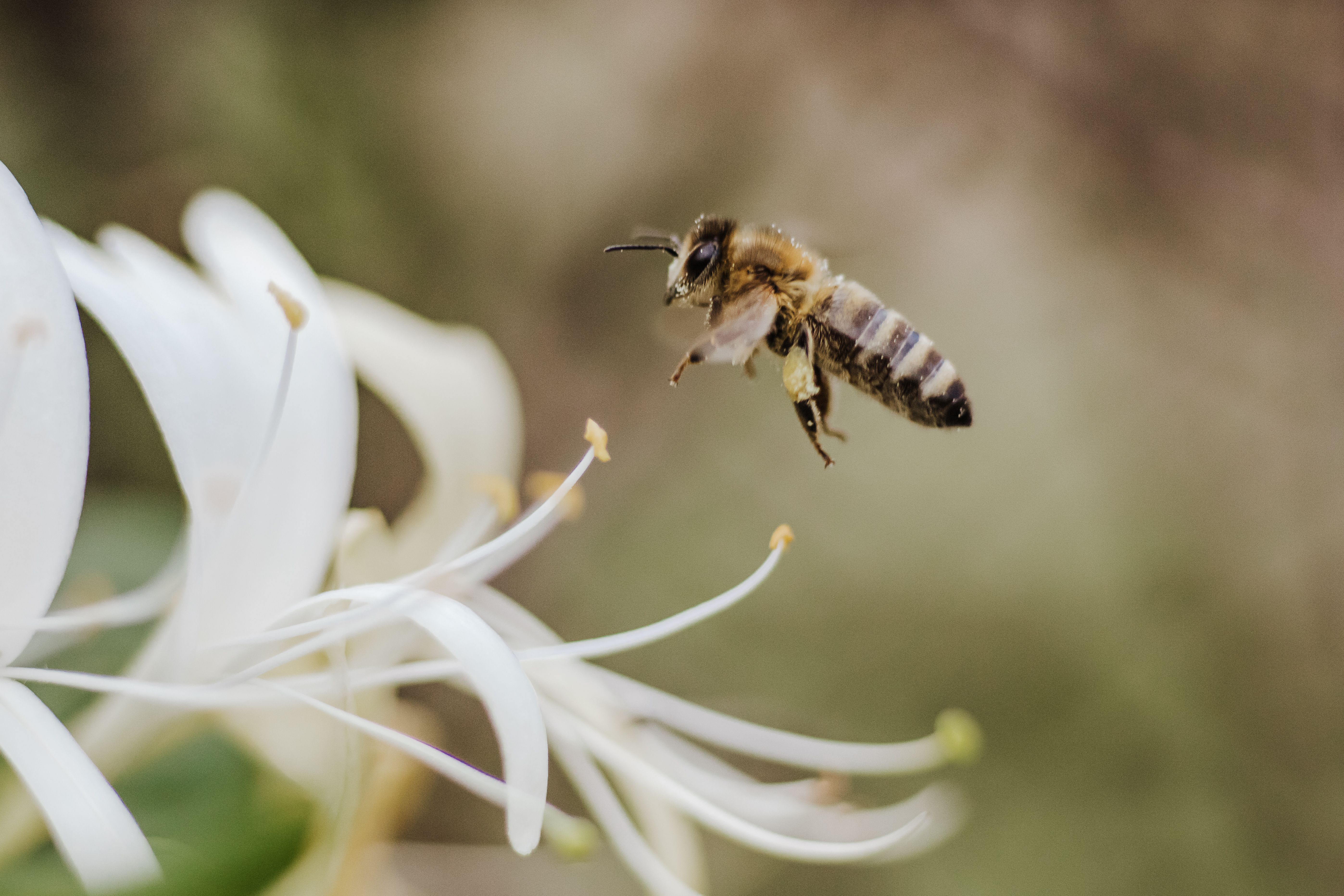 Ark Valley Civics Bee Competition to Send Three Local Students to State — Photo by Krisztina Ajtai on Pexels