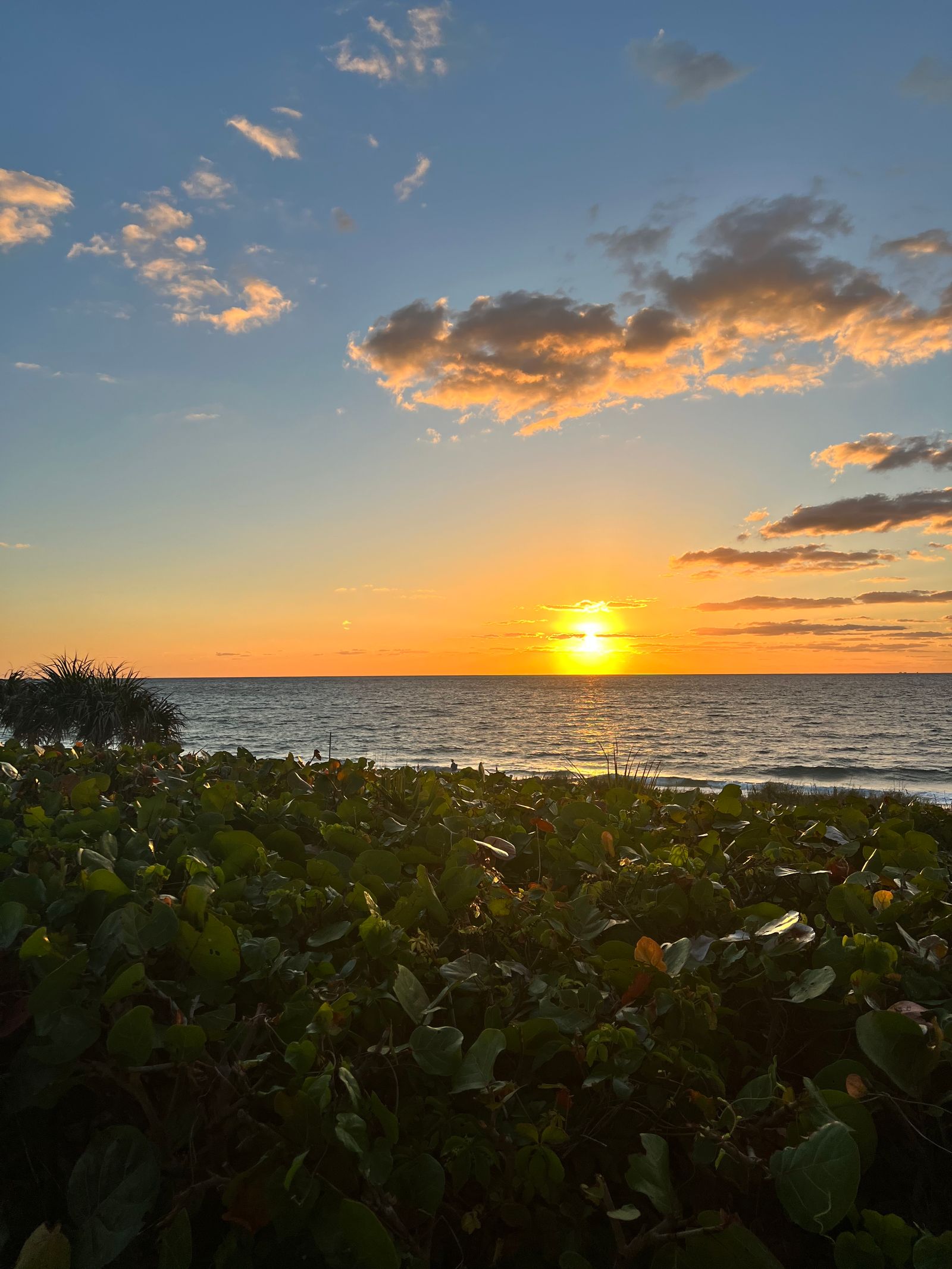 Vibrant sunset over the Florida coastline