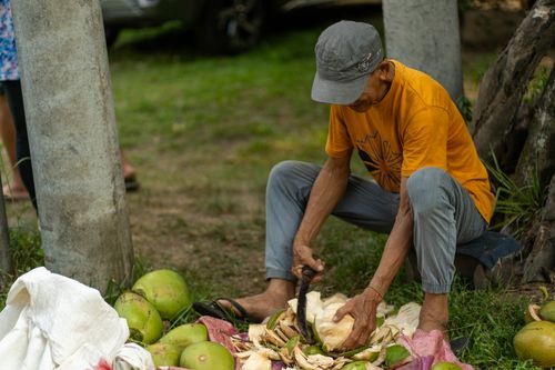 Free Elderly man using a machete to chop coconuts outdoors in Quezon, Philippines. Stock Photo