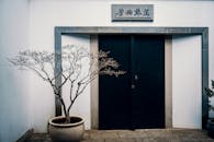 东方住宅的极简主义立面上，有一扇黑门和一棵盆栽树