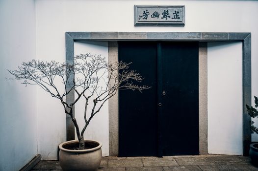 东方住宅的极简主义立面上，有一扇黑门和一棵盆栽树