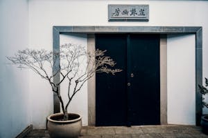 Potted plant near entrance of oriental house