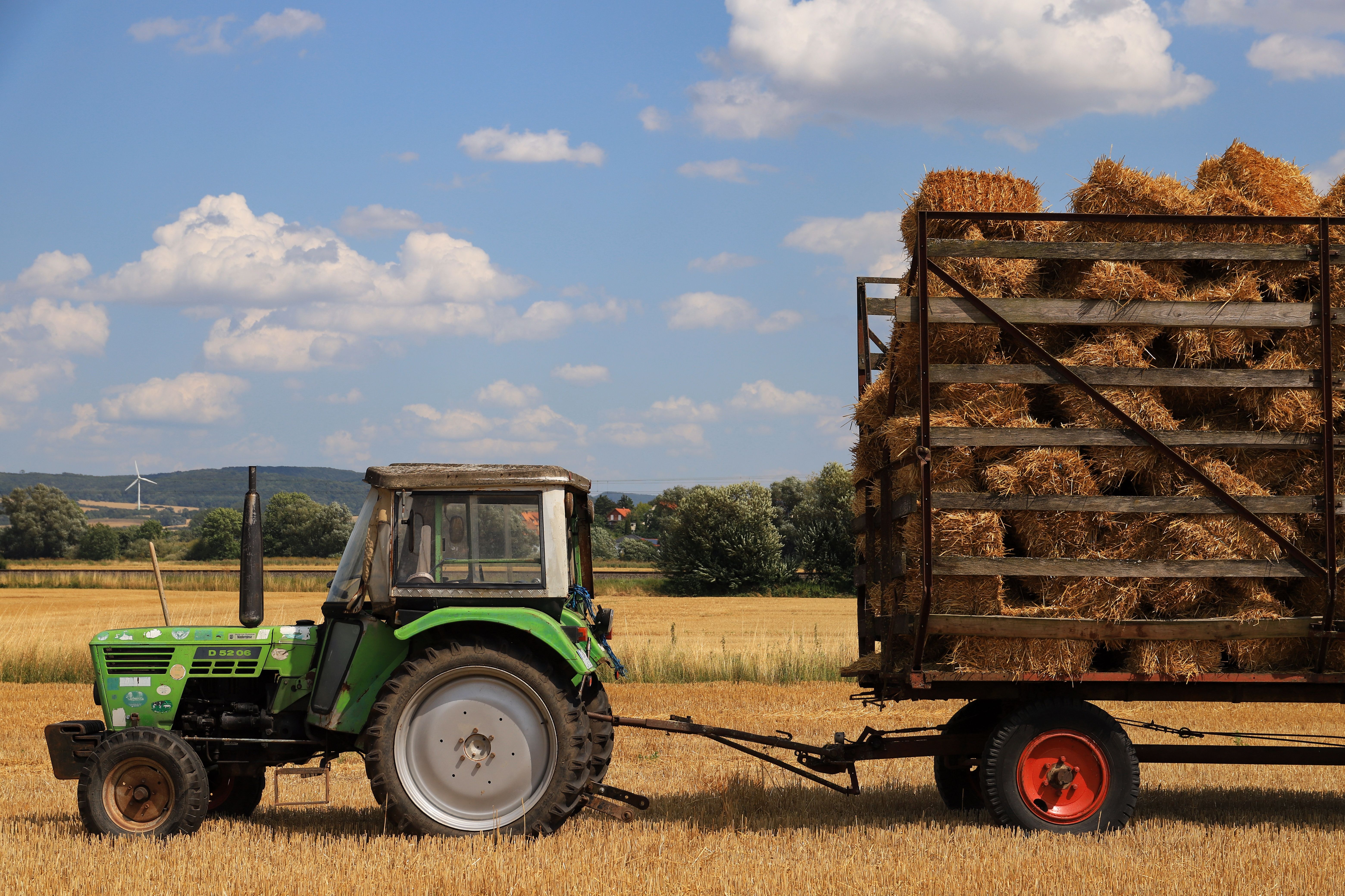 BrasilAgro (AGRO3): O Legado de Valorização e a Lógica do Próximo Ciclo Agrícola